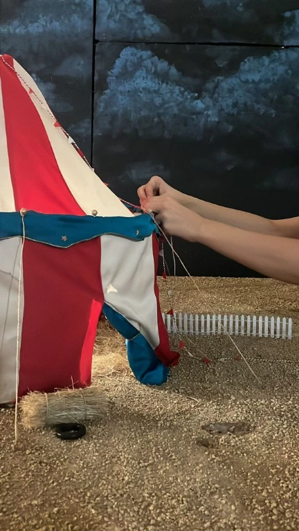 Circus angle 3