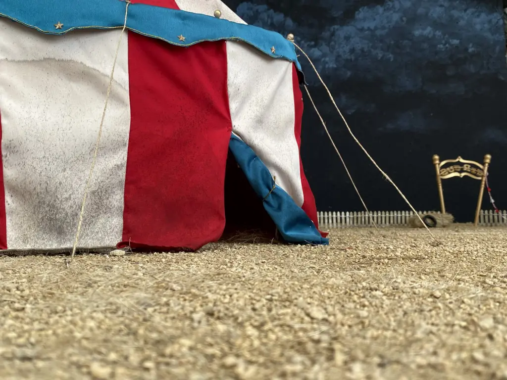 Circus angle 8